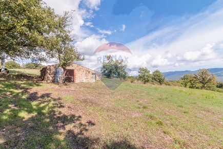 Foto Terreno agricolo a Semproniano in vendita