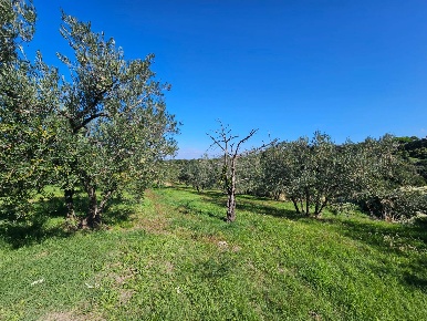 Foto Terreno agricolo in Strada Fossaccio, Viterbo di 8000 m² in vendita