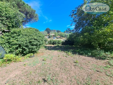 Foto Terreno agricolo in Via dell'Agrifoglio, Manziana di 2000 m²