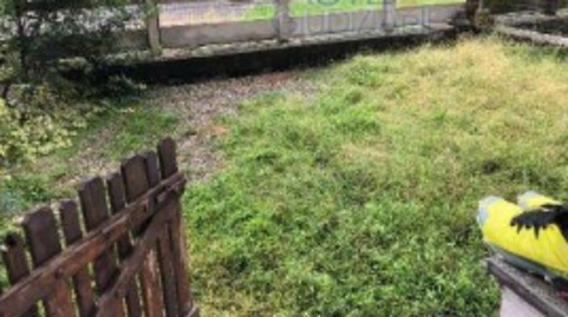 immagine annuncio 3 di 9