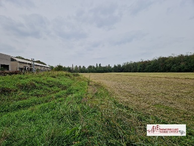 Foto Terreno in Via Don Giovanni Bosco, Arluno Rogorotto di 6000 m²