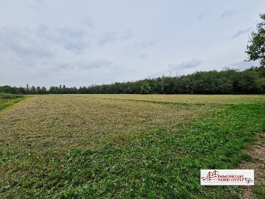 Foto Terreno in Via Papa Giovanni XXIII, Vanzago di 6000 m² in vendita