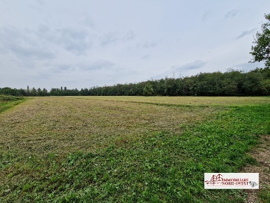 Foto Terreno in Via Papa Giovanni XXIII, Vanzago di 6000 m² in vendita