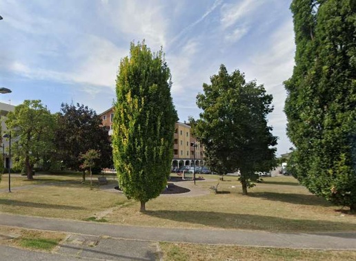 immagine annuncio 3 di 15