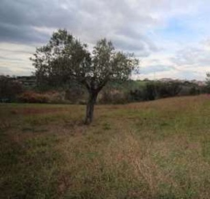 Foto Terreno agricolo in Via Sibillini, Porto Sant'Elpidio di 7509 m²