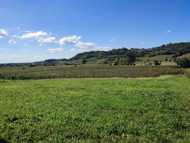 Foto Terreno edificabile in Contrada Selva 52, Montebello Vicentino
