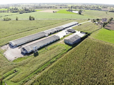 Foto Terreno agricolo in VIA ISONZO, Leno di 24500 m² in vendita