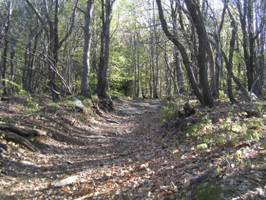 Foto Terreno agricolo in Unnamed Road, Sassello in vendita
