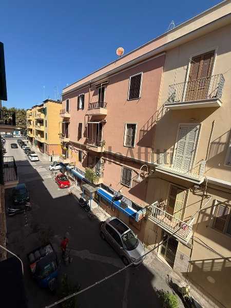 immagine annuncio 10 di 14