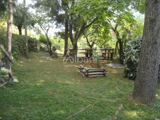 immagine annuncio 2 di 14
