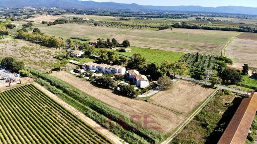 Foto Terreno agricolo in Via della Camminata, Bibbona di 6900 m² in vendita