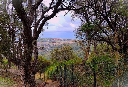 Foto Villa unifamiliare in via degli olivi  15, Castiglione della Pescaia