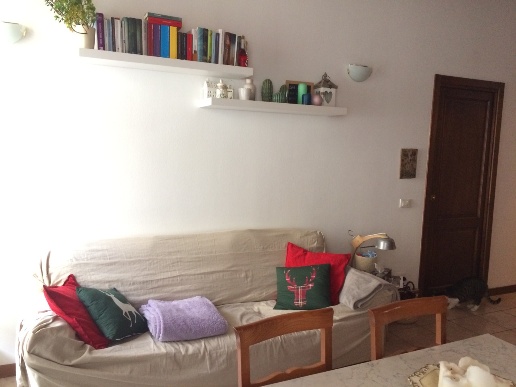 immagine annuncio 4 di 12