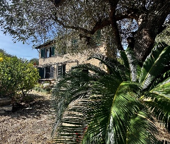Foto Rustico in Via Madonna Della Neve, Diano Castello di 65 m² in vendita