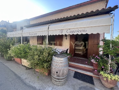Foto Attività commerciale in Località Poggio Murella 55, Manciano di 240 m²