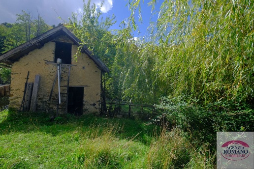 immagine annuncio 8 di 14