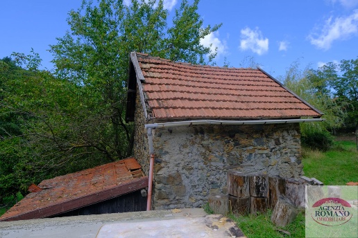 immagine annuncio 10 di 14