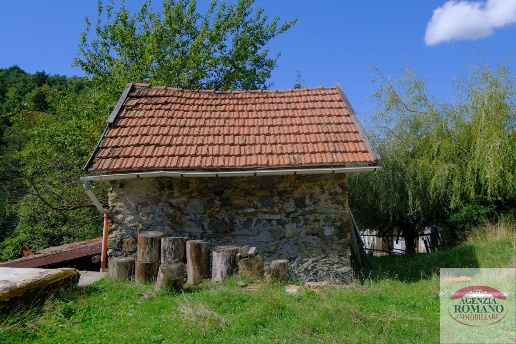 immagine annuncio 11 di 14