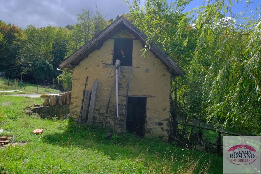 immagine annuncio 13 di 14