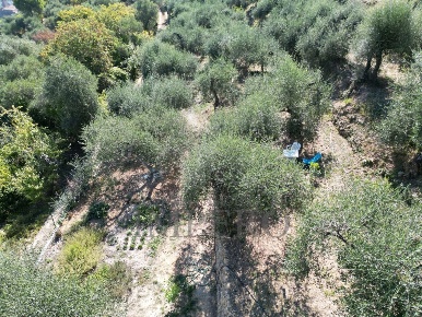 Foto Terreno agricolo in Via Monsignore Daffra 40, Ventimiglia Latte, Ville