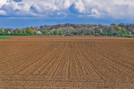 Foto Terreno industriale a Castelvetrano di 20000 m² in vendita