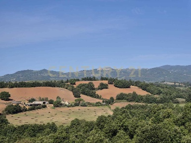 Foto Terreno agricolo in località cornacchiaio snc, Civitella Paganico