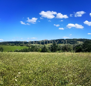 Foto Terreno agricolo in loc. la campigliola, Manciano di 10000 m²