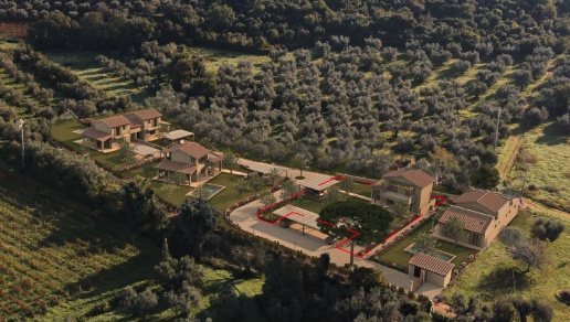 immagine annuncio 1 di 6