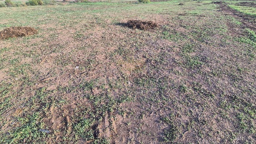 Foto Terreno industriale a Macerata Campania Centro di 10160 m² in vendita
