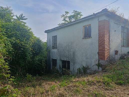 immagine annuncio 3 di 6