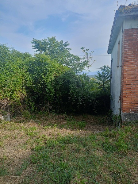 immagine annuncio 4 di 6