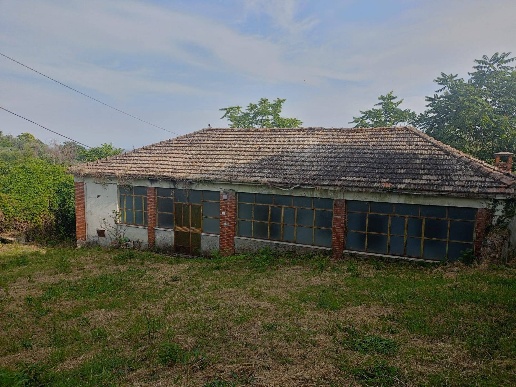 immagine annuncio 5 di 6