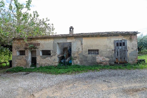 immagine annuncio 2 di 6