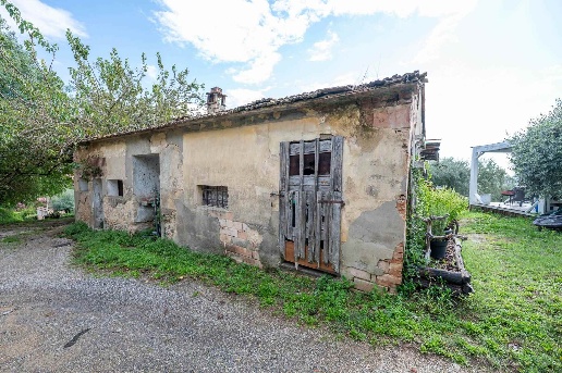 immagine annuncio 5 di 6