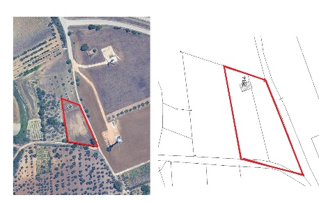 Foto Terreno agricolo a Altamura di 3127 m² in vendita
