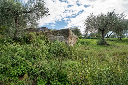 immagine annuncio 4 di 6