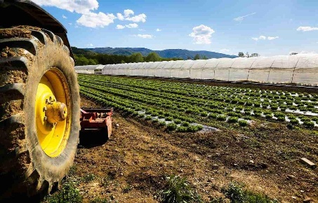 Foto Terreno agricolo a Cascina Semicentro di 20000 m² in vendita