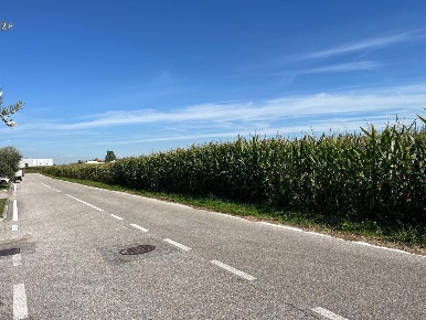 Foto Terreno agricolo in Bellodo, Marostica Centro di 9650 m² in vendita