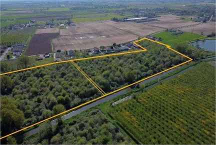 Foto Terreno agricolo in località San Vito, Cerea Centro di 57226 m²