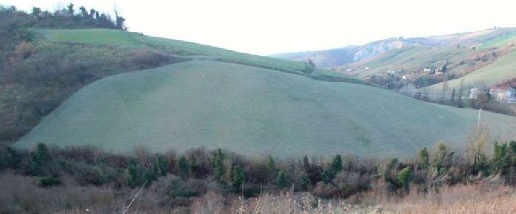 Foto Terreno agricolo in Via Rio Cozzi, Castrocaro Terme e Terra del Sole