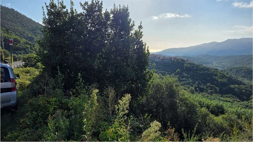 Foto Terreno edificabile in via Genova, Arnasco Menosio di 1420 m²