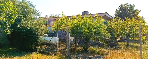 immagine annuncio 2 di 14