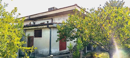 immagine annuncio 3 di 14