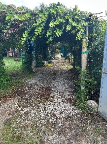 Foto Terreno agricolo a Campiglia Marittima di 800 m² in vendita
