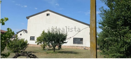 immagine annuncio 5 di 8