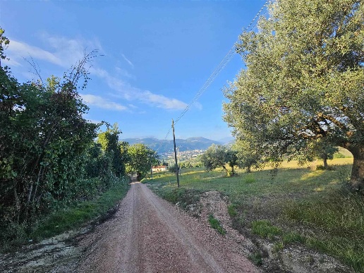 immagine annuncio 2 di 8
