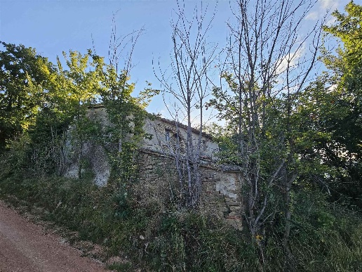 immagine annuncio 6 di 8