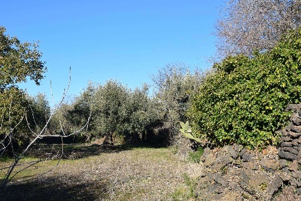 Foto Terreno agricolo a Belpasso di 17870 m² in vendita