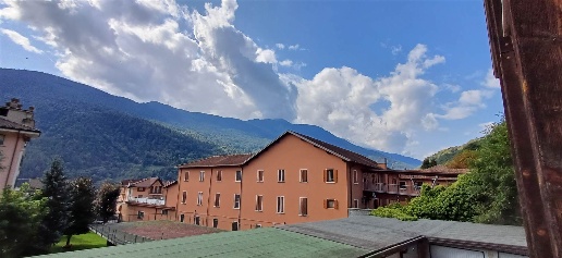immagine annuncio 1 di 14
