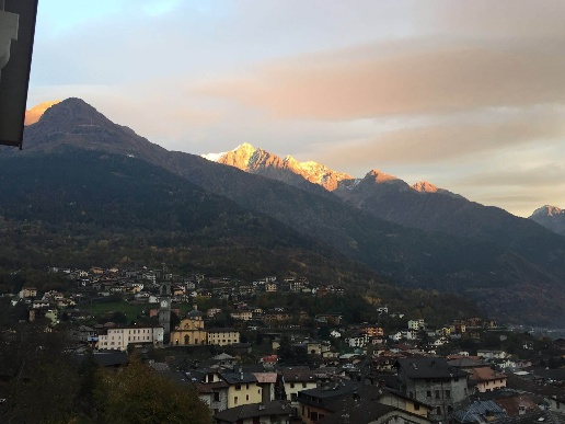 immagine annuncio 11 di 14